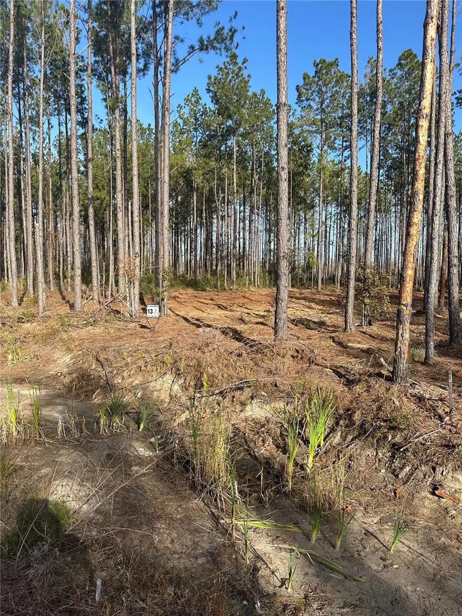 TBD NW 133rd Path, Lake Butler, FL 32054 - Image #2