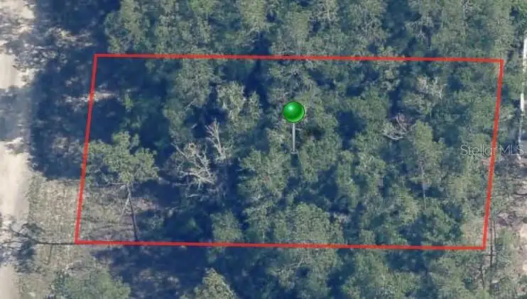 9861 N Baldwin Terrace, Dunnellon, FL 34434 - #1