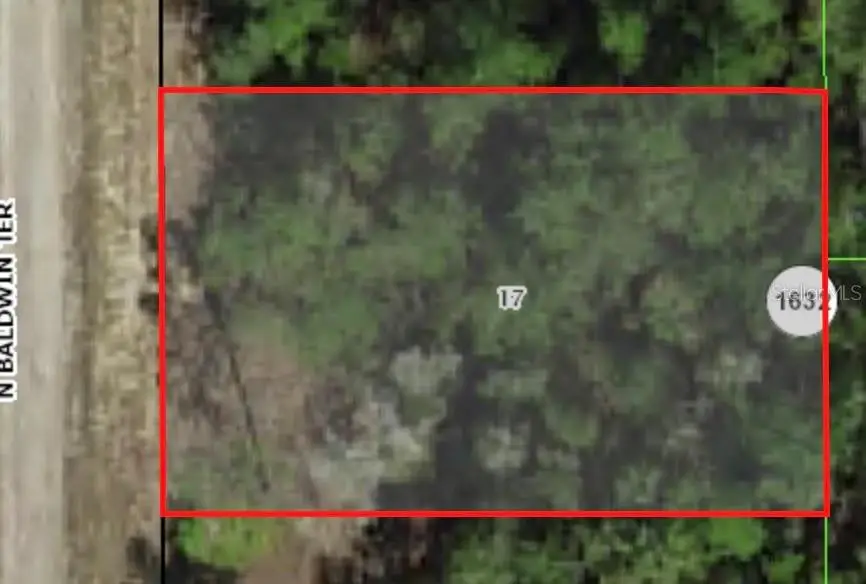 9861 N Baldwin Terrace, Dunnellon, FL 34434 - #2