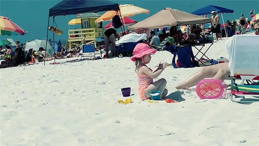 191 Palm Air Drive, Osprey, FL 34229 - Image #3