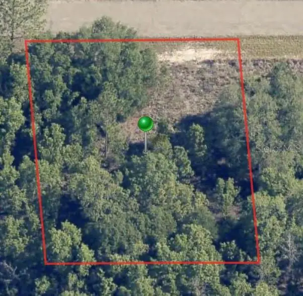 6654 N Underwood Drive, Citrus Springs, FL 34434 - #1