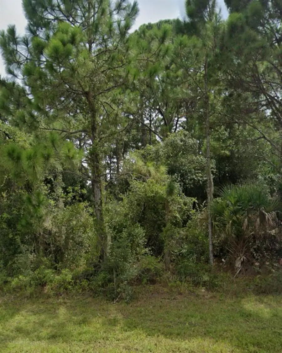 13343 Chamberlain Boulevard, Port Charlotte, FL 33953 - Image #2