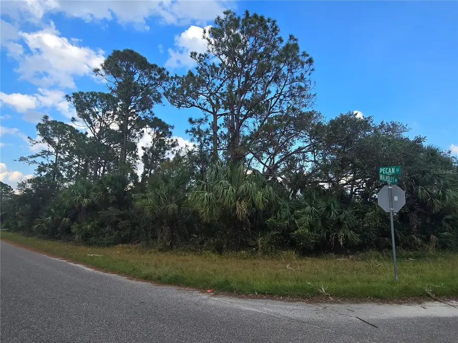 Walmsley Avenue, North Port, FL 34287 - Image #3