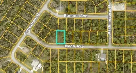 Neon Avenue, North Port, FL 34291 - Image #2