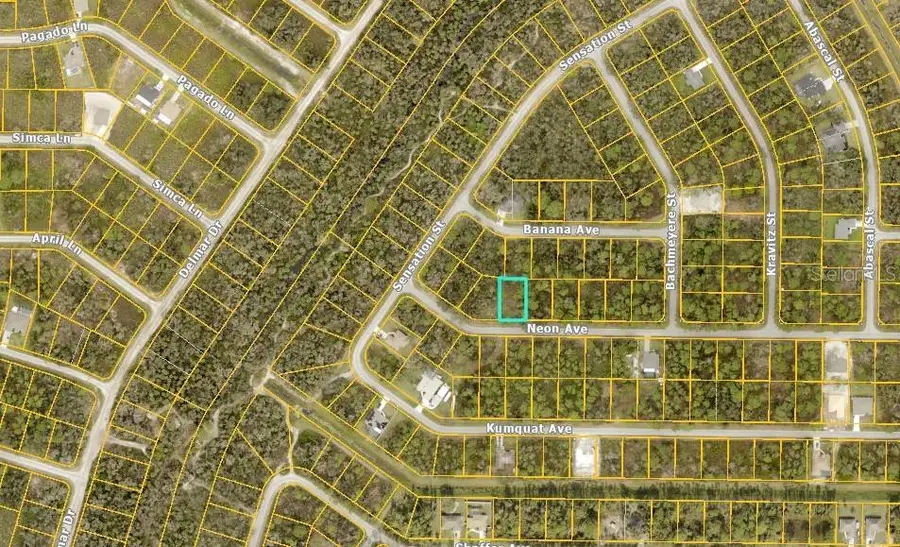 Neon Avenue, North Port, FL 34291 - Image #3