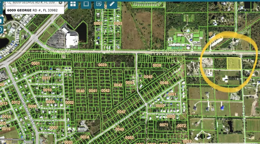 6009 George Road, Punta Gorda, FL 33982 - #3