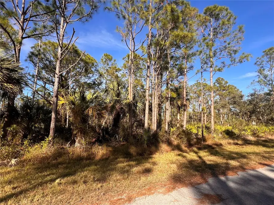 13092 Harbison Avenue, Port Charlotte, FL 33953 - Image #3