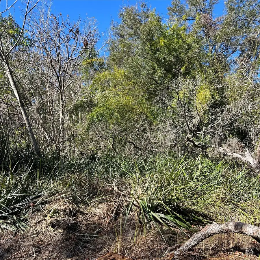 0 Durden Road, Dade City, FL 33523 - Image #3