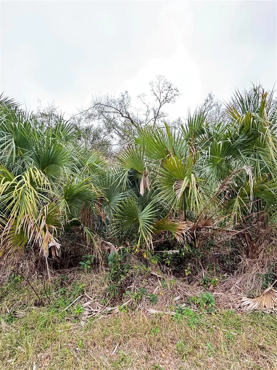 Address Withheld By Seller, North Port, FL 34286 - Image #1