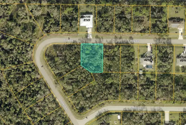 Fling Avenue, NORTH PORT, FL 34291