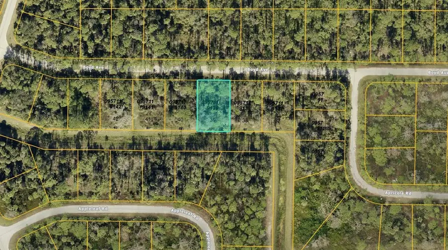 0957119139 Boyd Avenue, North Port, FL 34286 - Image #2