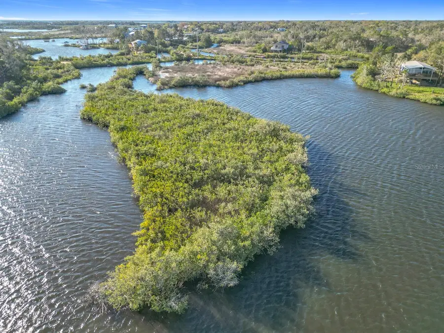 14101 W St Martins Road, Crystal River, FL 34429 - #3