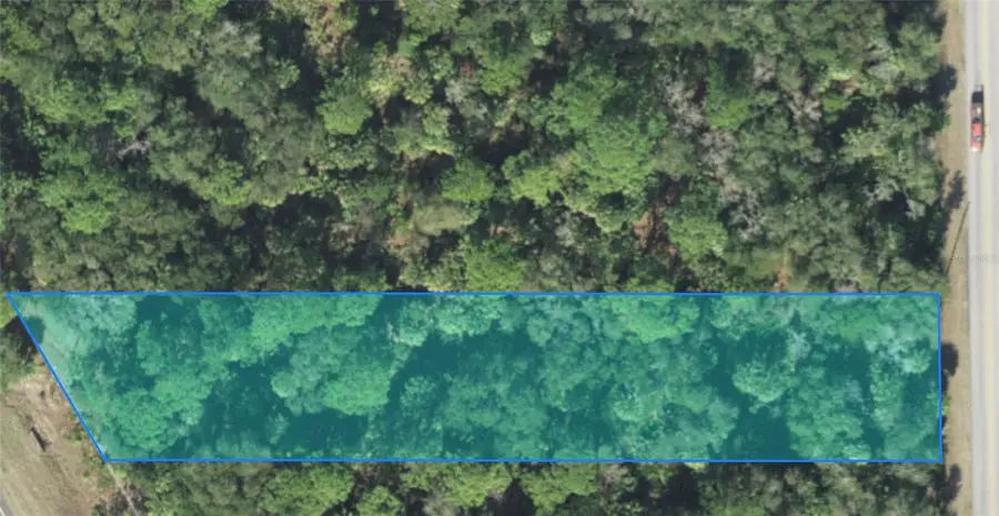 7972 N Basswood Avenue, Crystal River, FL 34428 - Image #2