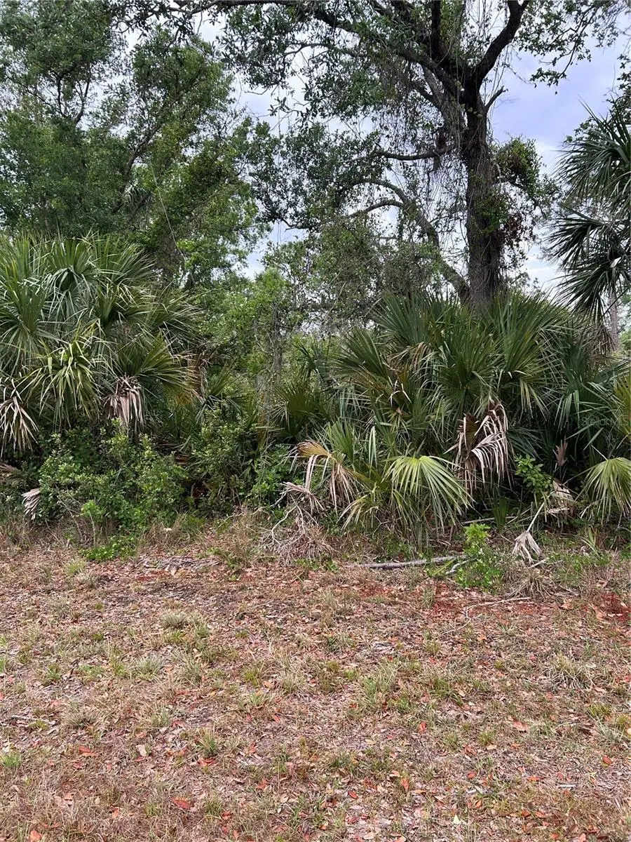 14066 Stanfield Avenue, Port Charlotte, FL 33953 - Image #1