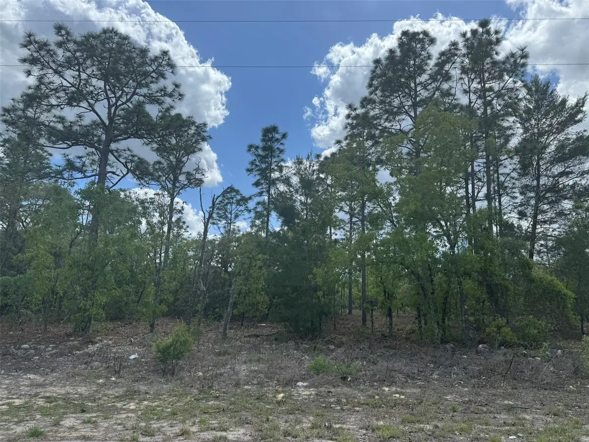 3000 W Liza Place, Dunnellon, FL 34433 - #1