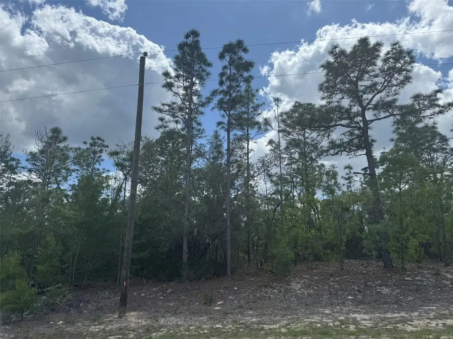 3000 W Liza Place, Dunnellon, FL 34433 - #3