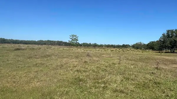 45855 Clay Gully Road, MYAKKA CITY, FL 34251