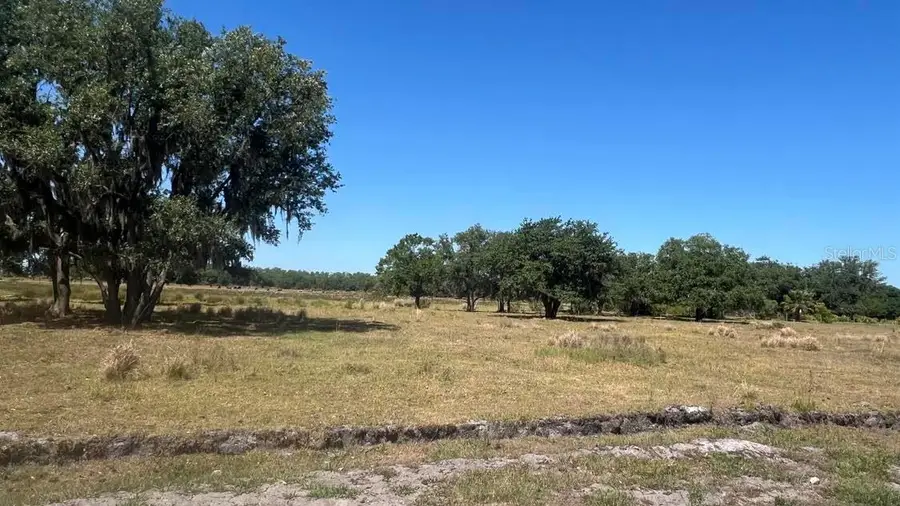 45855 Clay Gully Road, Myakka City, FL 34251 - Image #3