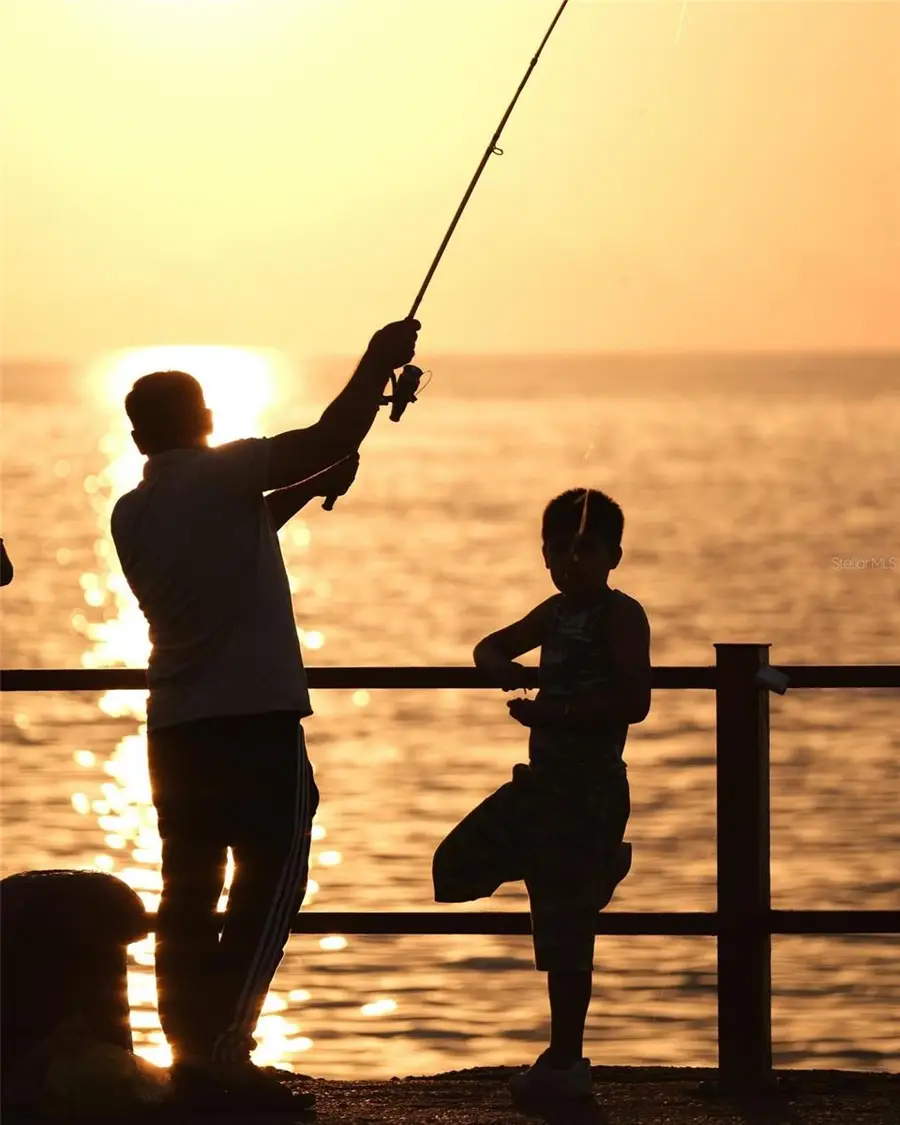 Castle Circle, Alford, FL 32420 - Image #2