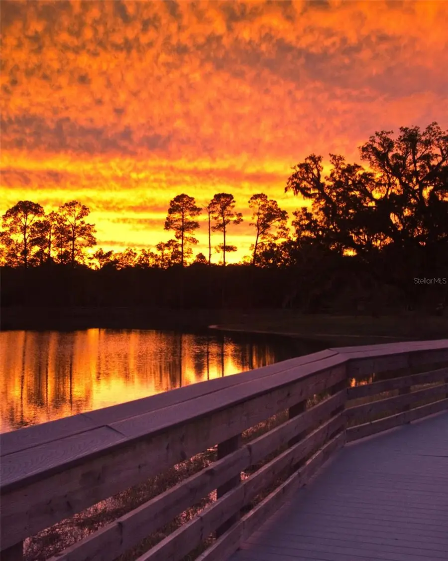 Castle Circle, Alford, FL 32420 - Image #3