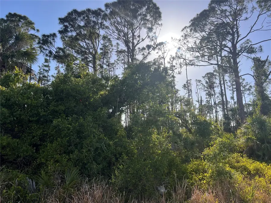 Rufus Road, North Port, FL 34288 - #2