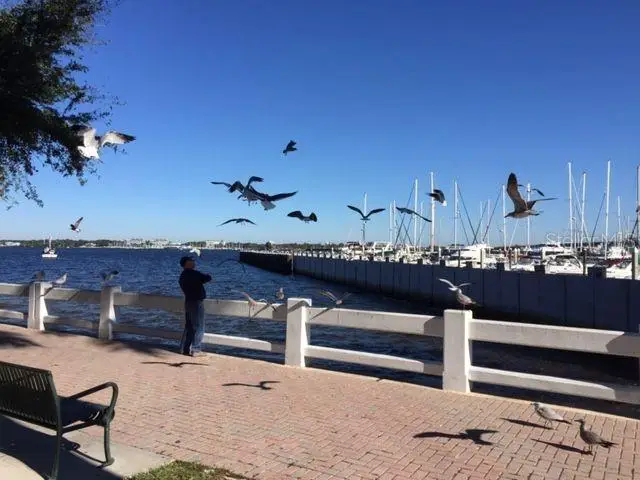 1400 1st Avenue W #506, Bradenton, FL 34205 - Image #2