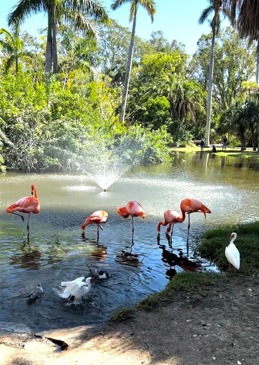 168 Rotonda Boulevard E, Rotonda West, FL 33947 - Image #3