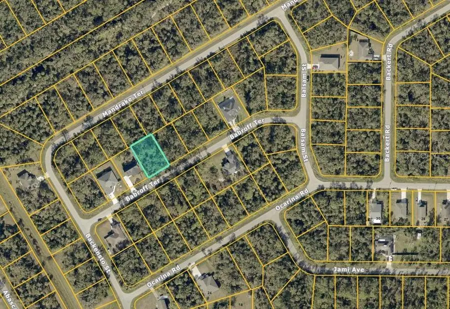 Babroff Terrace, North Port, FL 34291 - Image #2