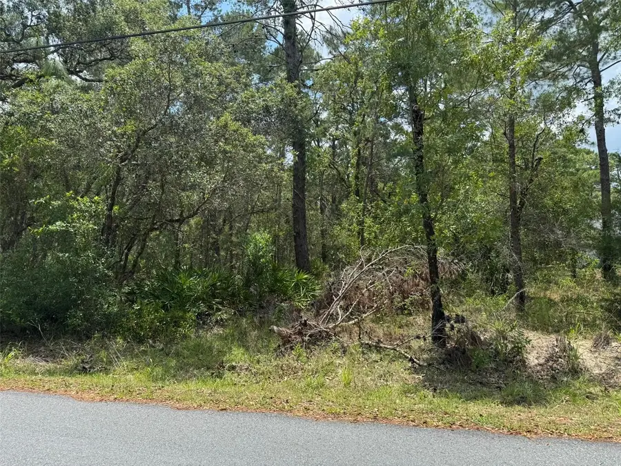 Lot 62 Michigan Avenue, Weeki Wachee, FL 34613 - Image #3