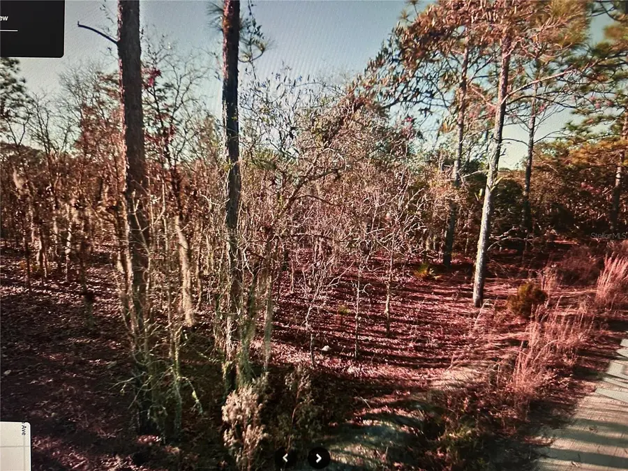 03381-235-00 Ne 97th Court, Bronson, FL 32621 - Image #2