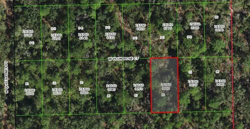 9782 W Plum Rose Court, Crystal River, FL 34429 - Image #1