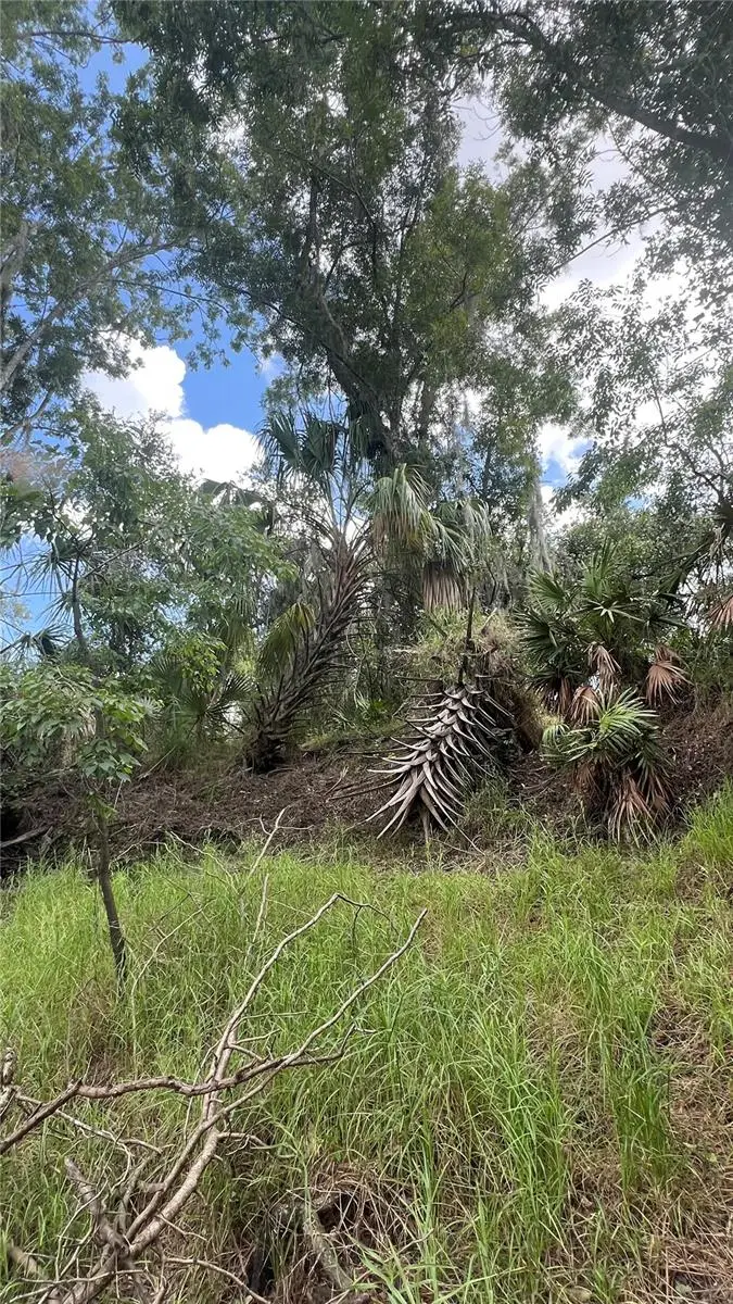 Nw Scout Avenue, Arcadia, FL 34266 - #3