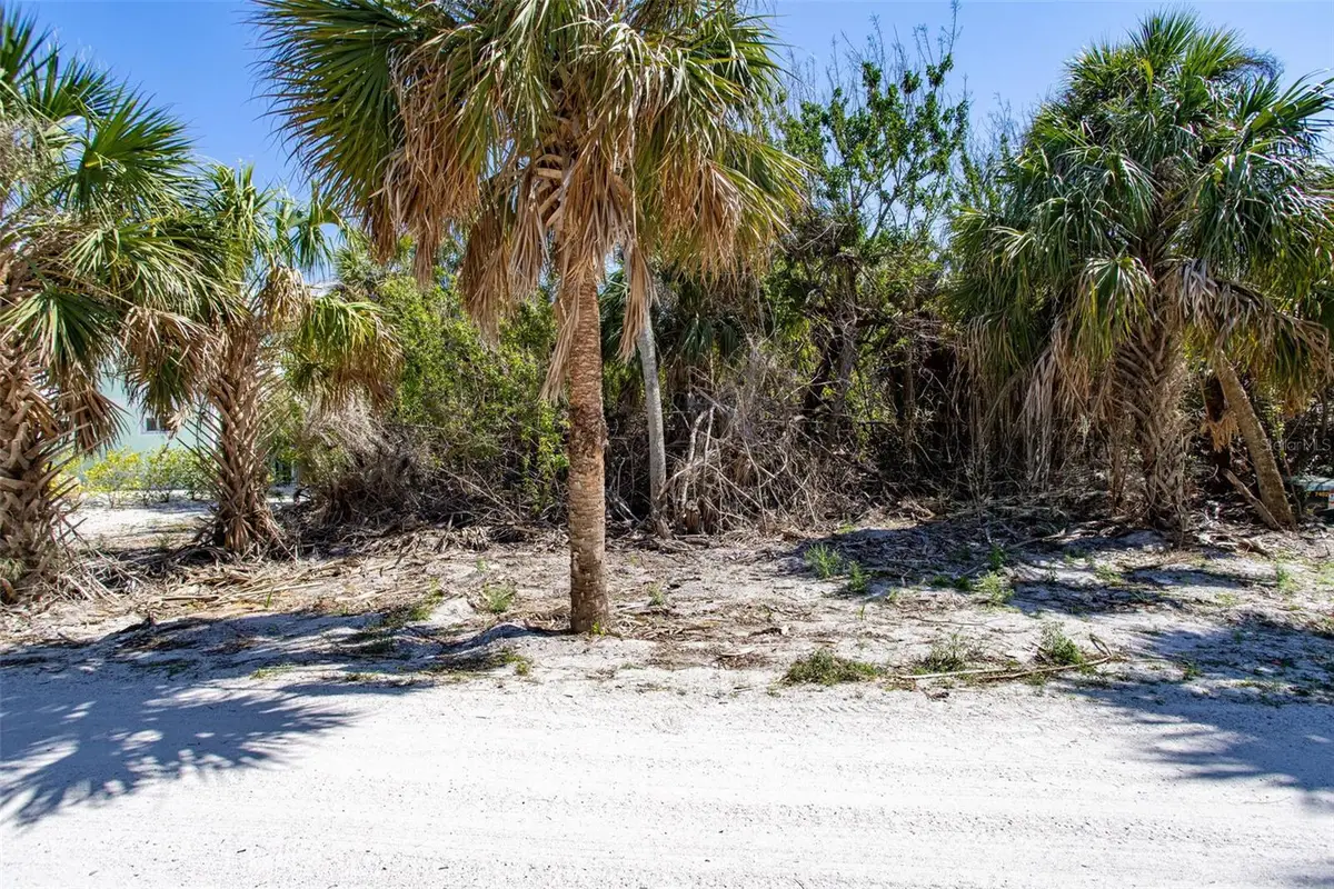 72 Palm Drive, Placida, FL 33946 - #1