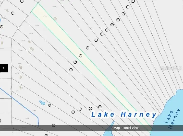 Lot 2 Near Osceola Road, Geneva, FL 32732 - Image #2