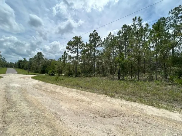 lot 6 NE 152nd Court, WILLISTON, FL 32696