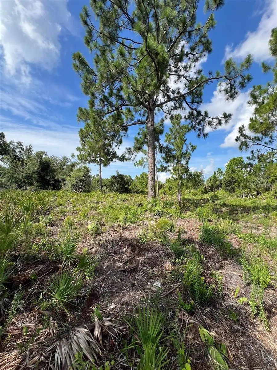 2146 Westwind Street, Port Charlotte, FL 33953 - Image #3