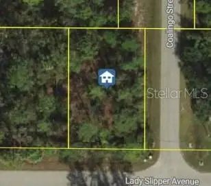 Lady Slipper Avenue, NORTH PORT, FL 34291