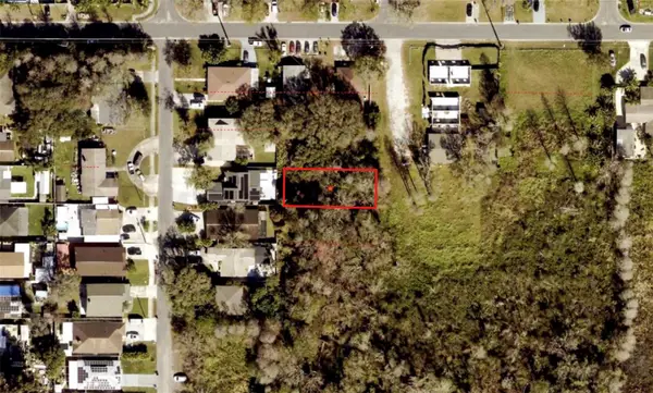 Blossom Avenue, TAMPA, FL 33614