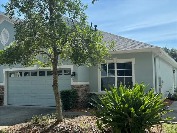 6936 Surrey Oak Drive, APOLLO BEACH, FL 33572