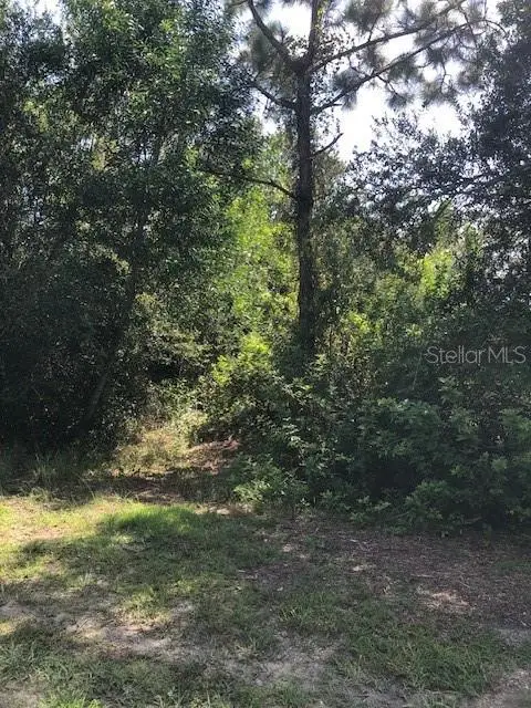 13358 Cappy Terrace, Punta Gorda, FL 33955 - #2