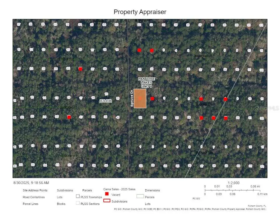 Chipola Drive, Georgetown, FL 32139 - Image #2
