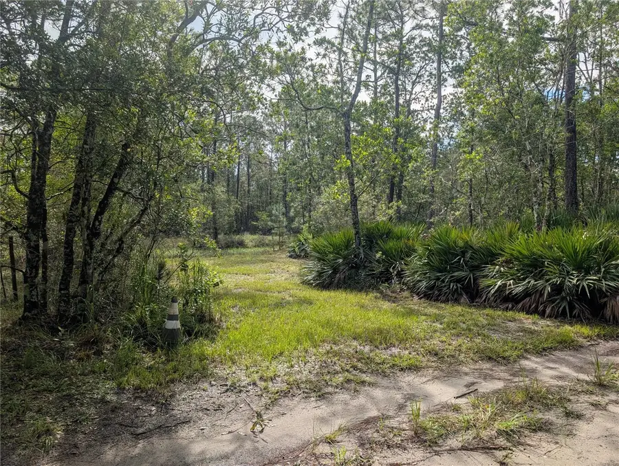 4538 Shadow Walk Lane, New Smyrna Beach, FL 32168 - Image #2