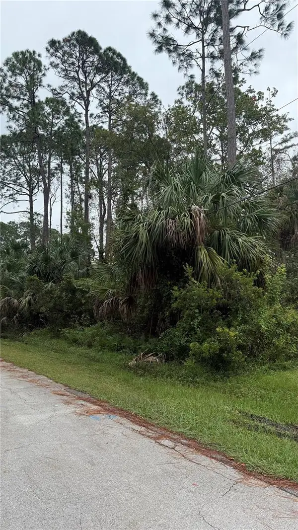 10 Poindexter Lane, PALM COAST, FL 32164