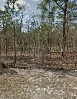 142nd Street, Williston, FL 32696 - Image #1