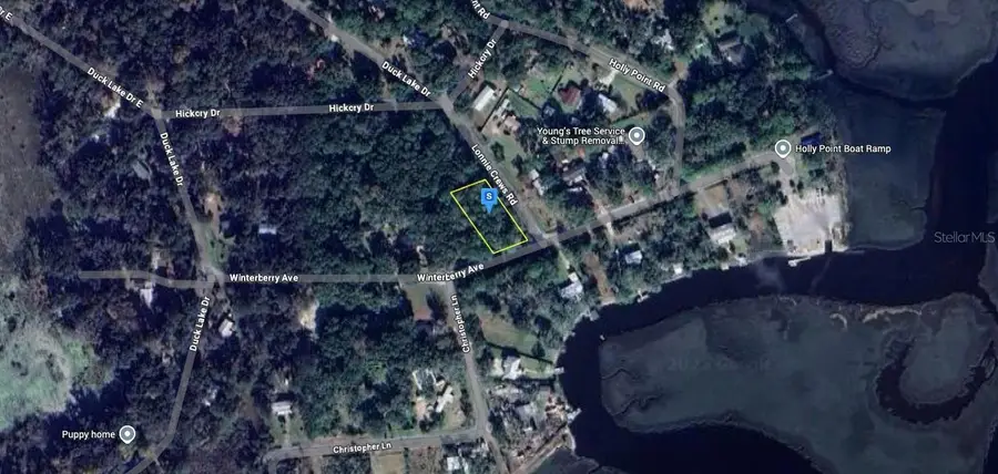 84 Holly Point Drive, Fernandina Beach, FL 32034 - Image #3