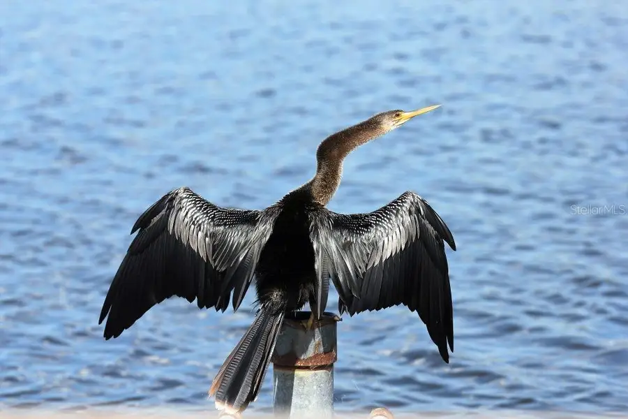 5920 N Whisper Point, Hernando, FL 34442 - Image #2