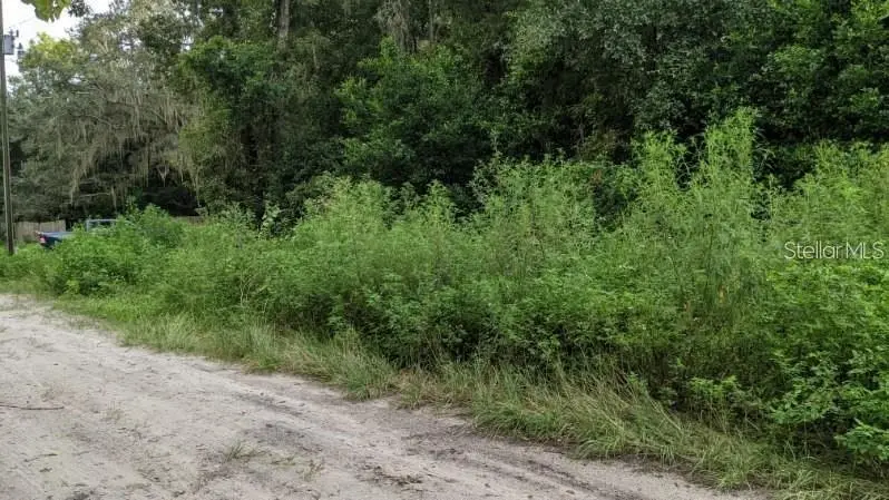 Dorsey Drive - Lot 10 &11, New Port Richey, FL 34654 - Image #3