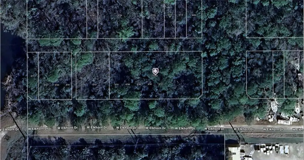 8733 W Elkhorn Drive, Homosassa, FL 34448 - Image #1