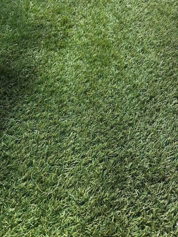 La Rosa Avenue, NORTH PORT, FL 34286