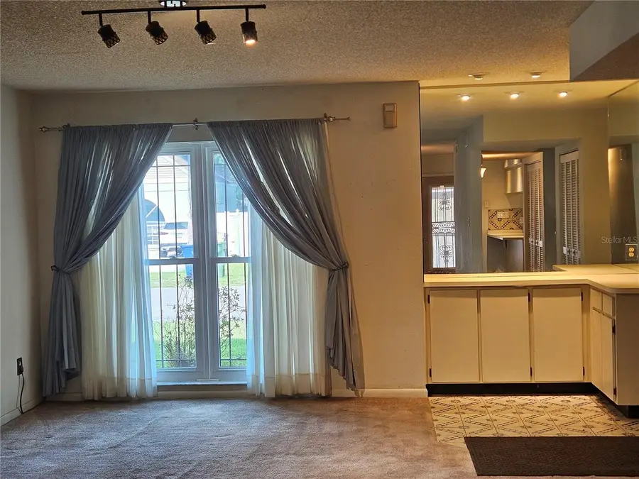 3418 W Saint Conrad Street, Tampa, FL 33607 - Image #3